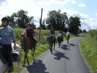  passeggiate a cavallo nelle 14 